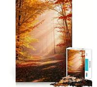 Puzzle de 1000 pièces Chemin apaisant en forêt dorée d'automne pour Adultes et Adolescents Jeu de logique Solide et Amusant, découpe de précision, Cadeau du Père Noël (38x52cm)