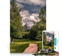 Puzzle de 1000 pièces Chemin de Montagne à Travers Les Arbres pour Adolescents, Jeu de réflexion, Divertissement, découpe de qualité supérieure, Cadeau attentionné (38x52cm)