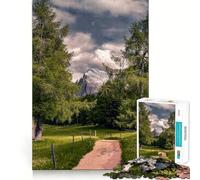Puzzle de 1000 pièces Chemin de Montagne à Travers Les Arbres pour Adultes et Adolescents, Jeu de logique, détente, découpe de précision, (38x26cm)