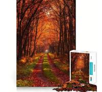 Puzzle de 1000 pièces Chemin forestier d'automne,découpe précise,Casse-tête Artistique,Cadeau,Loisirs,décoration Murale de Noël (38x52cm)