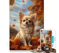 Puzzle de 1000 pièces Chihuahua dans Un Paysage d'automne avec des citrouilles Jeu d'assemblage Facile Cadeau Intelligent et ludique Décoration de Noël (50x75cm)