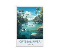Puzzle de 1000 pièces, Crystal River Florida Puzzles, Puzzle de 1000 pièces pour Adultes et Enfants, Puzzle Familial Classique d'intérieur 52x38cm