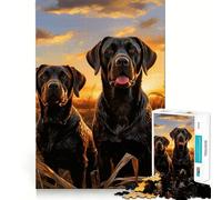 Puzzle de 1000 pièces Deux Labradors Découpe précise Jeu de logique et de réflexion Cadeau d'anniversaire Amusant (50x75cm)