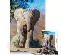 Puzzle de 1000 pièces Éléphant Qui Court de Zoopar pour Adolescents, Jeu Intelligent, Jeu de Groupe, Assemblage d'image, décoration Murale (50x75cm)