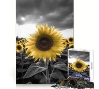 Puzzle de 1000 pièces en Niveaux de Gris Champ de tournesols pour Adolescents, Jeu cognitif, Plaisir Lent, Bords de qualité supérieure, Cadeau du Père Noël 38x26cm