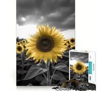 Puzzle de 1000 pièces en Niveaux de Gris Champ de tournesols pour Adolescents, Jeu cognitif, Plaisir Lent, Bords de qualité supérieure, Cadeau du Père Noël 38x26cm