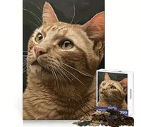 Puzzle de 1000 pièces Expressions de Chats pour Adolescents, Exercice Mental, Loisirs relaxants, idéal pour Noël (38x52cm)