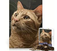 Puzzle de 1000 pièces Expressions de Chats pour Adolescents Un Jeu de réflexion Stimulant et Relaxant, aux Bords Lisses, Un Cadeau de Noël Chic (50x75cm)