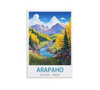 Puzzle de 1000 pièces, Forêt Nationale d'Arapaho, Puzzle de 1000 pièces pour Adultes et Enfants, Puzzle Familial Classique d'intérieur, 70 x 50 cm