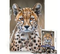 Puzzle de 1000 pièces Guépards au Regard Fascinant pour Adolescents,Puzzle Sharp Recall,Moment de détente apaisant,Coupe Uniforme,Cadeau spécial (38x52cm)