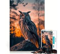 Puzzle de 1000 pièces Hibou, Oiseau, Coucher de Soleil, Animal, pour Adolescents, Jeu de réflexion, Jouet, à Partager à la Maison, découpe Nette, (50x75cm)