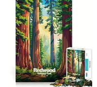Puzzle de 1000 pièces,Illustration du Parc National de Redwood,Jouet d'articulation Amusant et Stimulant pour l'esprit,idéal pour Un Moment de détente et de Paix,pièce Artistique de Noël (38x52cm)