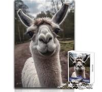 Puzzle de 1000 pièces Lama sourit à l'objectif pour Adolescents:Jeu éducatif et cognitif Amusant, Cadeau Original et attentionné Dimensions:38x26 cm