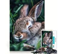Puzzle de 1000 pièces Lapin endormi dans l'herbe pour Adolescents Amélioration de la mémoire Jeu de rôle Relaxant et Amusant Pièce de Collection aux découpes nettes 50x75cm