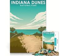 Puzzle de 1000 pièces,Motif de Voyage des Dunes de l'Indiana,Ajustement Parfait,Jeu d'adresse et de créativité,idéal pour se détendre et s'amuser,décoration de Noël (38x26cm)