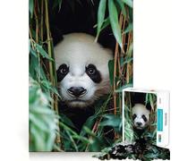 Puzzle de 1000 pièces Panda regardant à Travers Une forêt de bambous pour Adultes Développe la mémoire Moment de détente Design Cadeau de qualité supérieure (38x52cm)
