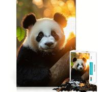 Puzzle de 1000 pièces Panda sous Une lumière dorée pour Adultes et Adolescents, Jeu cérébral, Divertissement paisible, Bords Nets, Cadeau mémorable (38x52cm)