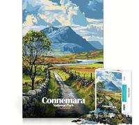 Puzzle de 1000 pièces Parc National du Connemara,Irlande Paysage Ajustement Parfait Jeu d'art créatif et de détente Décoration de Noël (38x26cm)