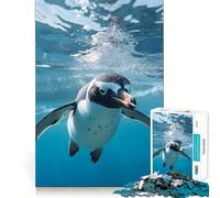 Puzzle de 1000 pièces Pingouins nageant pour Adultes et Adolescents Un pour se ressourcer, se détendre et s’évader grâce à sa découpe Lisse (50x75cm)