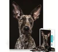 Puzzle de 1000 pièces Portrait d'un Chiot tacheté pour Adultes, Jeu de logique Solide, Jeu en Groupe, Bords Nets, 38x52cm