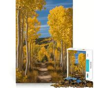 Puzzle de 1000 pièces pour Adolescents Arbres de trembles d'automne Le Long d'un Chemin Découpe Lisse Jeu de logique Temps de Jeu Relaxant Cadeau d'anniversaire ou Loisir (38x26cm)