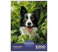 Puzzle De 1000 Pièces pour Adolescents Border Collie in Green Puzzles pour Adolescents - Jeu Manuel - Une Œuvre d'art - Cadeaux Uniques pour Un Anniversaire Ou Noël 70x50cm/1000pcs