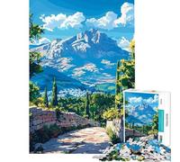 Puzzle de 1000 pièces pour Adolescents Chemin de Pierre vers Vue sur la Montagne Jeu Manuel Difficile Stimulant cérébral (38x52cm)