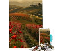 Puzzle de 1000 pièces pour Adolescents Coquelicots Rouges de Toscane Jeu de réflexion Stimulant pour Femmes Difficile et Stimulant (Dimensions 38x26cm)