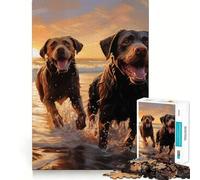 Puzzle de 1000 pièces pour Adolescents Deux Labradors sur la Plage, Puzzle Bien ajusté, Jeu de réflexion, Amusement et Loisirs, décoration de Noël (38x52cm)