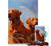 Puzzle de 1000 pièces pour Adolescents Deux Renards et Labradors Roux, Coupe serrée, Amusant, créatif, Jeu cérébral, détente, Moment de Plaisir, Cadeau Artistique de Noël (50x75cm)