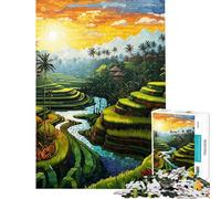Puzzle de 1000 pièces pour Adolescents escalier d'émeraude de Bali Jeu de réflexion Cadeau d'anniversaire Unique Cadeau d'anniversaire et de Noël (Taille 38x52cm)