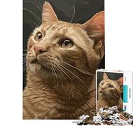 Puzzle de 1000 pièces pour Adolescents Expressions de Chats Décoration Parfaite pour Un Anniversaire ou Noël Jeu Manuel à partir de 14 Ans (38x26cm)