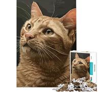 Puzzle de 1000 pièces pour Adolescents Expressions de Chats pour Anniversaire ou Noël Jouet éducatif Anti-Stress adapté aux 14 Ans et Plus (50x75cm)