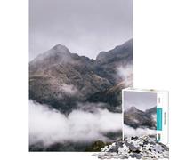 Puzzle de 1000 pièces pour Adolescents Fiordlands Nouvelle-Zélande Jeu intellectuel et Manuel Anti-Stress pour Les Amateurs de Jeux (Taille 38x26cm)