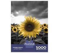 Puzzle De 1000 Pièces pour Adolescents Island Rock Formation Puzzles pour Adultes Jeux De Détente Vacances À La Maison Passer Le Temps Défi À Compléter 38x26cm/1000pcs
