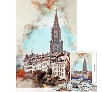 Puzzle de 1000 pièces pour Adolescents Jigsaw Bern Jeux éducatifs Aquarelle Analyse et logique Jouet à Monter soi-même avec Poster et fiche de Questions-réponses Assortis (75x50cm)