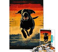 Puzzle de 1000 pièces pour Adolescents Labrador Noir Courant au Coucher du Soleil Puzzle pour Adultes Jeu Pratique d'analyse et de logique Cadeau d'anniversaire Unique et Original (50x75cm)