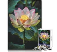 Puzzle de 1000 pièces pour Adolescents - Lotus - Magnifiques Fleurs - Un Jeu Unique et Stimulant, à la Fois Amusant et Original Dimensions : 38x52cm