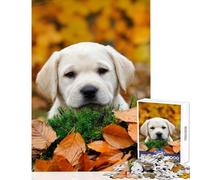 Puzzle de 1000 pièces pour Adolescents Motif Chiot Labrador d'automne Jouet éducatif Idée Cadeau Jeu Relaxant et Amusant à la Maison Dimensions 50x75cm