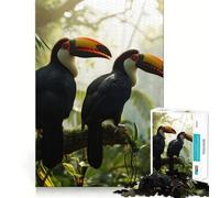 Puzzle de 1000 pièces pour Adolescents, Motif Toucan dans la Jungle, Duo découpé avec précision, idéal pour se concentrer, s'amuser et Passer Un Moment Calme (50x75cm), Cadeau de Noël Amusant