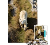 Puzzle de 1000 pièces pour Adolescents Ours Polaire dans l'herbe Jeu Anti-Stress Analyse et logique Défi à réaliser (Dimensions 38x26cm)