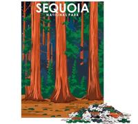 Puzzle de 1000 pièces pour Adolescents Parc National de Sequoia Découpe de précision Idéal pour Partager Un Moment Complice en Famille Cadeau de Noël ou d'anniversaire (38x52cm/1000 pièces)