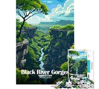 Puzzle de 1000 pièces pour Adolescents Parc National des Gorges de la Rivière Noire Maurice Jeux éducatifs et Jouets d'apprentissage Idée Cadeau Parfaite (38x26cm)