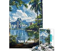 Puzzle de 1000 pièces pour Adolescents Paysage Urbain de São Paulo Jeu intellectuel et Relaxant Activités familiales Idée Cadeau pour Un Père Noël Secret (Dimensions 38x52cm)