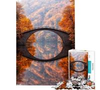 Puzzle de 1000 pièces pour Adolescents Pont en Arche de Pierre Jeu de réflexion Jeux en Famille Décoration intérieure Interaction Parent-Enfant (Dimensions 50x75cm)