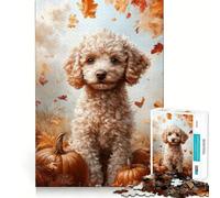 Puzzle de 1000 pièces pour Adolescents Portrait de Caniche d'automne avec des citrouilles Jeu créatif et créatif aux Lignes épurées Cadeau Artistique de Noël (38x26cm)