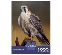 Puzzle De 1000 Pièces pour Adolescents Prairie Falcon Oil Paint Puzzles pour Adolescents - Jeu Manuel - Une Œuvre d'art - Cadeaux Uniques pour Un Anniversaire Ou Noël 70x50cm/1000pcs