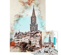 Puzzle de 1000 pièces pour Adolescents Puzzle Aquarelle Bern pour Adultes Jeux relaxants découpe de précision Cadeau d'anniversaire ou de Noël (Taille 38x52cm)