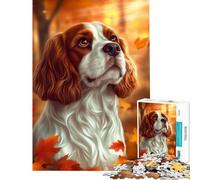 Puzzle de 1000 pièces pour Adolescents représentant Un Cavalier King Charles Spaniel en Automne Difficile et Stimulant décoration intérieure Jouet Anti-Stress Convient aux 14 Ans et Plus (38x52cm)
