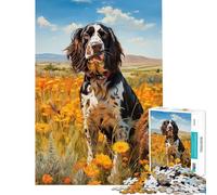 Puzzle de 1000 pièces pour Adolescents représentant Un épagneul Springer Anglais Un défi Stimulant à relever pour Apprendre se détendre et s'amuser à partir de 14 Ans (38x26cm)